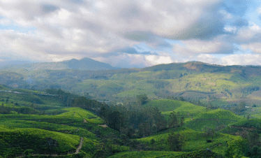 Golden Sands Kerala